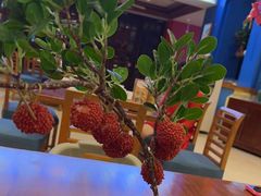 -儿童菜·采风阁家常菜餐厅(亚龙湾天域酒店)