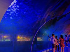 -北国之春国宴(乌兰察布店)