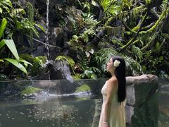 -海合安成都极地海洋公园