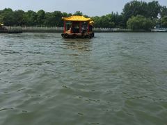 -溱湖国家湿地公园