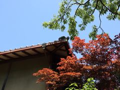 -常寂光寺