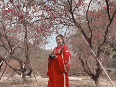 -南国桃园旅游度假区