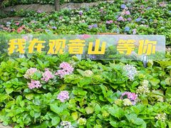 -东莞观音山旅游风景区