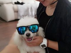 -多卡布奇宠物生活馆(上林世家店)