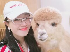 -藦茜花园宠物主题亲子互动体验馆(国顺东路店)