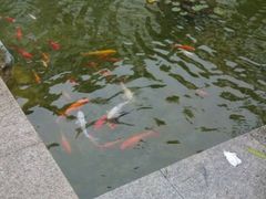 android_upload_pic-太湖湾开元名庭大酒店