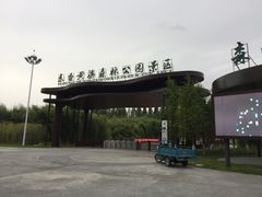 -黄海国家森林公园