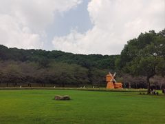 -苏州上方山国家森林公园