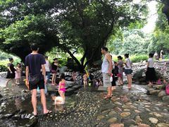 -成都市活水公园