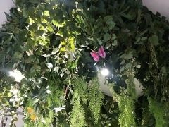 -江小渔鲜鱼火锅(冠亚星城店)