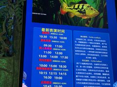 -合肥海洋世界