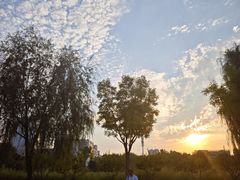 -西海子公园