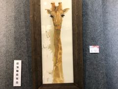-伦教678文化街