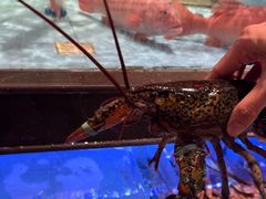-阿伟海鲜楼·福建菜(延寿店)