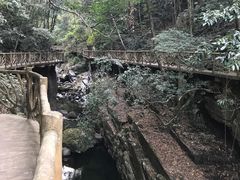 -永泰中国云顶