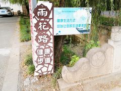 -雨花胜境