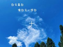 -武陵山森林公园