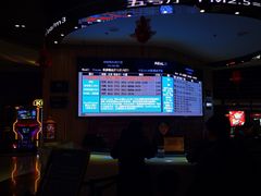 -奥斯卡升龙国际影城(RealD Cinema)