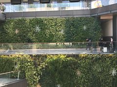 -Apple零售店(成都太古里店)