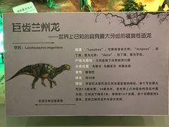 景点-甘肃地质博物馆