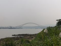 -芒洲湿地公园
