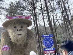 -洛阳白云山景区