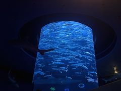 -香港海洋公园