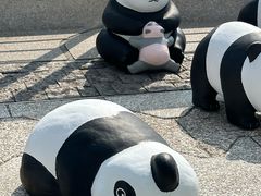 -星光大道