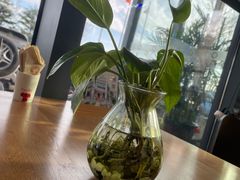 -了不起的考拉咖啡店(高新店)