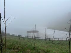 -武陵山森林公园