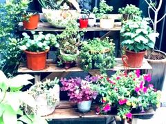 -Home Cafe(水榭春天店)
