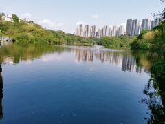 -重庆彩云湖湿地公园