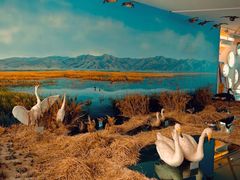 -延庆地质公园博物馆