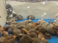 -质烤烤物·活烤海鲜(质烤总店)