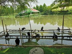 -长兴太湖图影湿地文化园