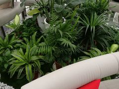 -交通银行(上海虹口支行)