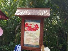 -三亚珠江南田温泉度假区