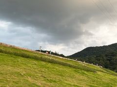 -广州市白云山风景名胜区