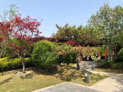 -思念果岭悦温泉