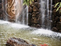 -禅宗少林·音乐大典