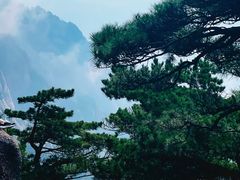 -黄山风景区