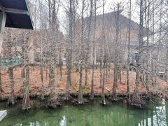 -溱湖国家湿地公园