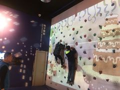 -中国宋庆龄青少年科技文化交流中心