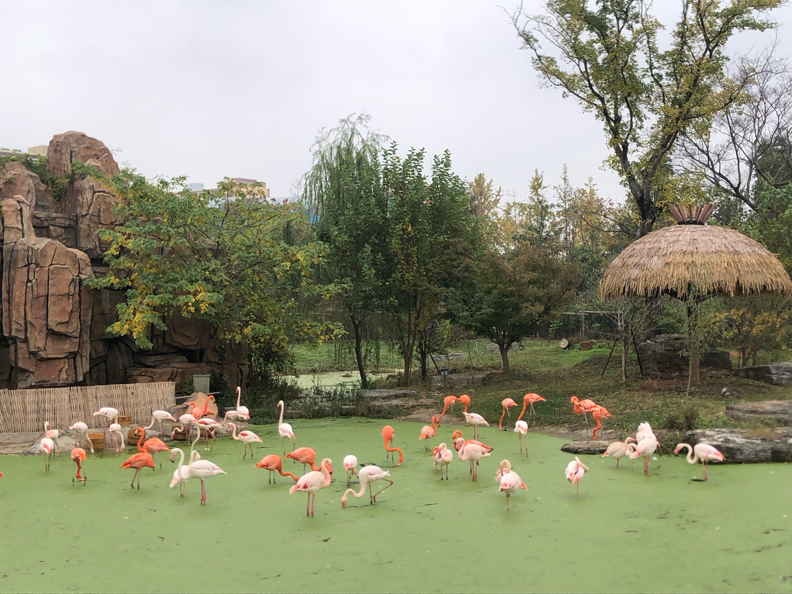 南通森林野生动物园