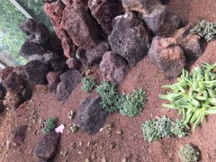 -南通洲际绿博园