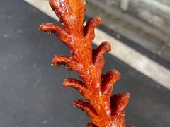 台湾香肠-胡仁根胡记炸炸炸