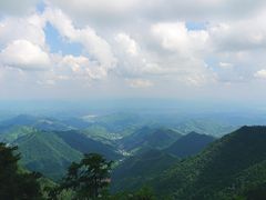 -天目山大树王景区