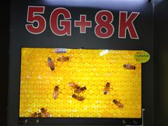 -苏宁易购(Suning Pro北京回龙观店)