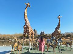 -北京野生动物园