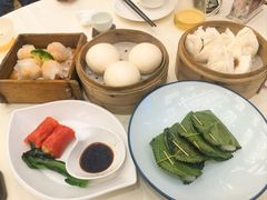 -龙的酒楼·手工早茶·顺德菜(近良路店)